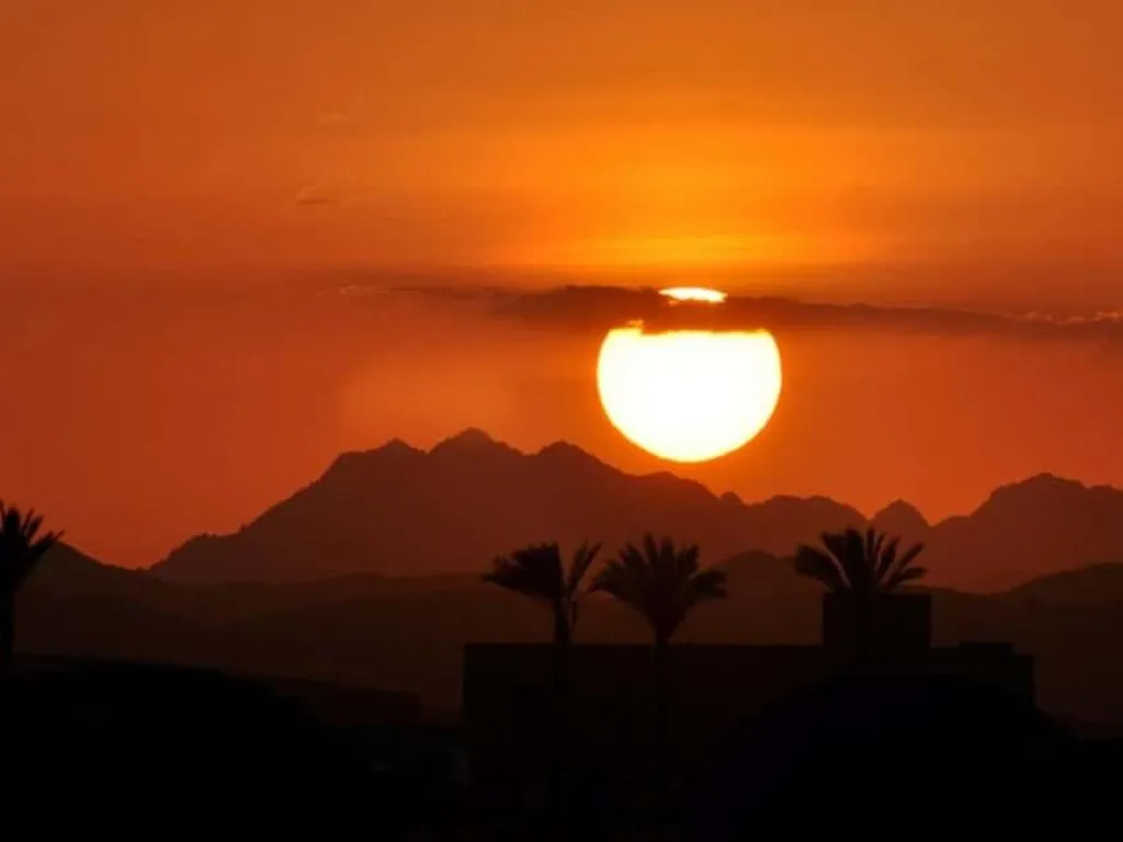 🌅 Creative Sunset Escape – Desert Magic at Golden Hour 92c64ddb2d82a6ef2bc3c1fcb1b926cbb076513943c59356f1fc842631451764.jpg