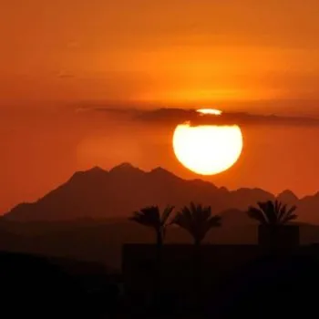 🌅 Creative Sunset Escape – Desert Magic at Golden Hour