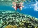 🤿 Snorkeling Adventure Trip – Hurghada snorkeling-adventure-trip-hurghada/nage-masque-tuba.jpg