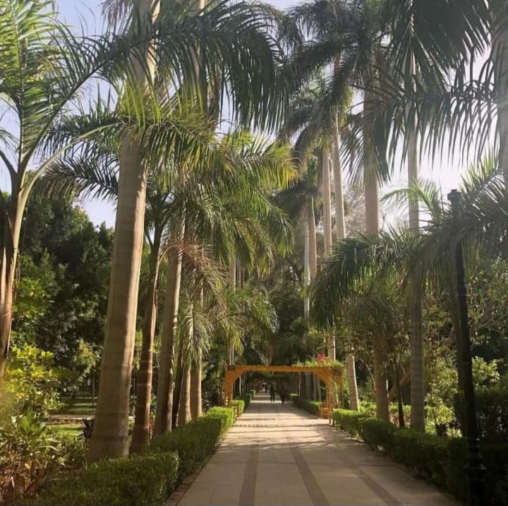 🌴🌊 Botanical Garden & Elephantine Island Tour – Aswan 🇪🇬 -botanical-garden-elephantine-island-tour-aswan-/IMG-20260903-WA0061.jpg