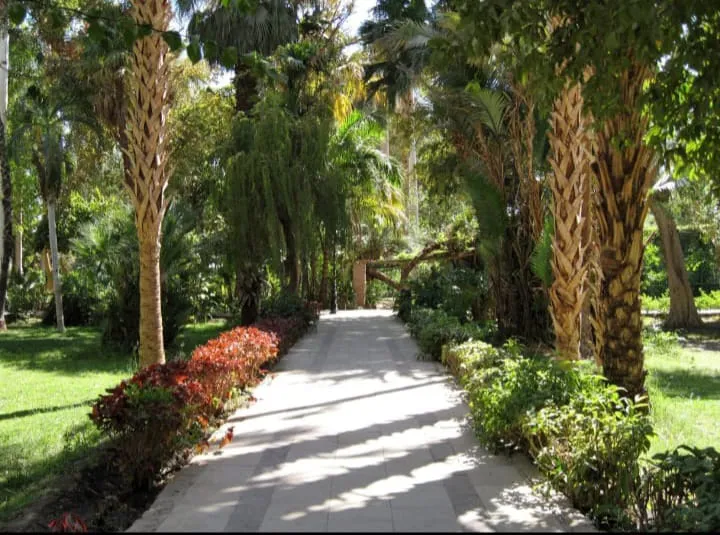 🌴🌊 Botanical Garden & Elephantine Island Tour – Aswan 🇪🇬 -botanical-garden-elephantine-island-tour-aswan-/IMG-20260903-WA0064.jpg