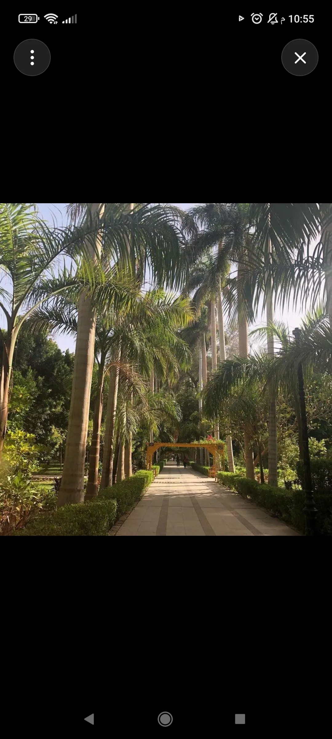 🌴🌊 Botanical Garden & Elephantine Island Tour – Aswan 🇪🇬 -botanical-garden-elephantine-island-tour-aswan-/Screenshot_2026-09-03-22-55-18-608_com_openai_chatgpt.jpg