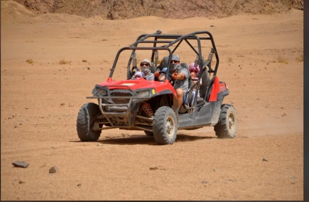 🏎️🏜️ Buggy Safari Adventure -buggy-safari-adventure/IMG-20260704-WA0113.jpg