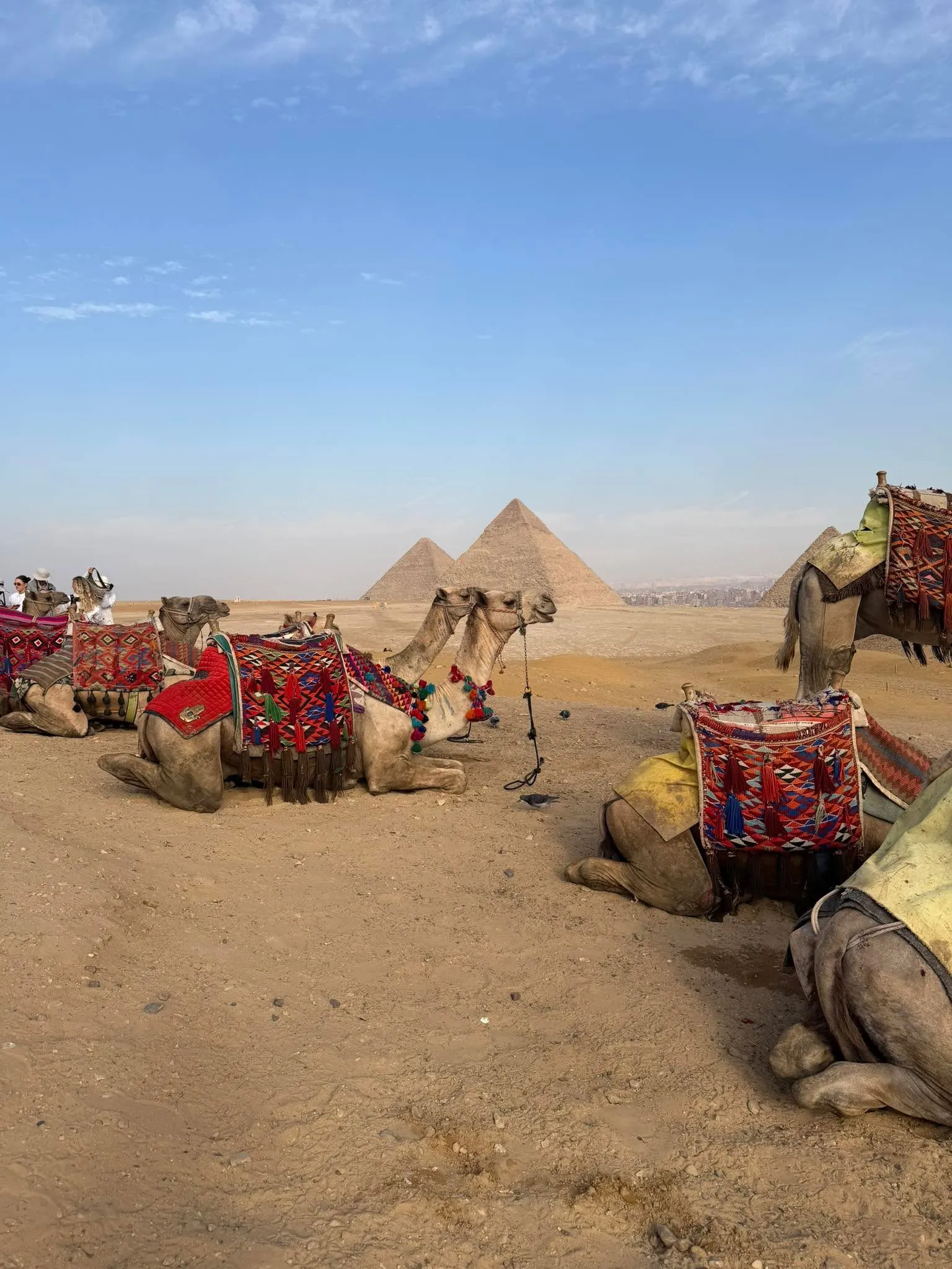 🏛️🐪 Cairo by Bus from Sharm El Sheikh -cairo-by-bus-from-sharm-el-sheikh/FB_IMG_1783192465058.jpg