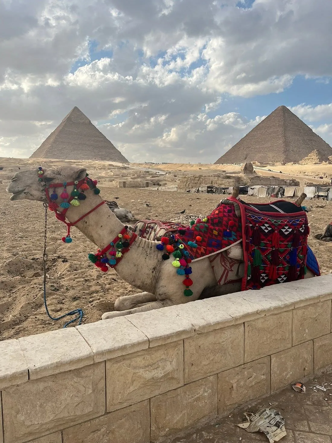🏛️🐪 Cairo by Bus from Sharm El Sheikh -cairo-by-bus-from-sharm-el-sheikh/FB_IMG_1783192495060.jpg