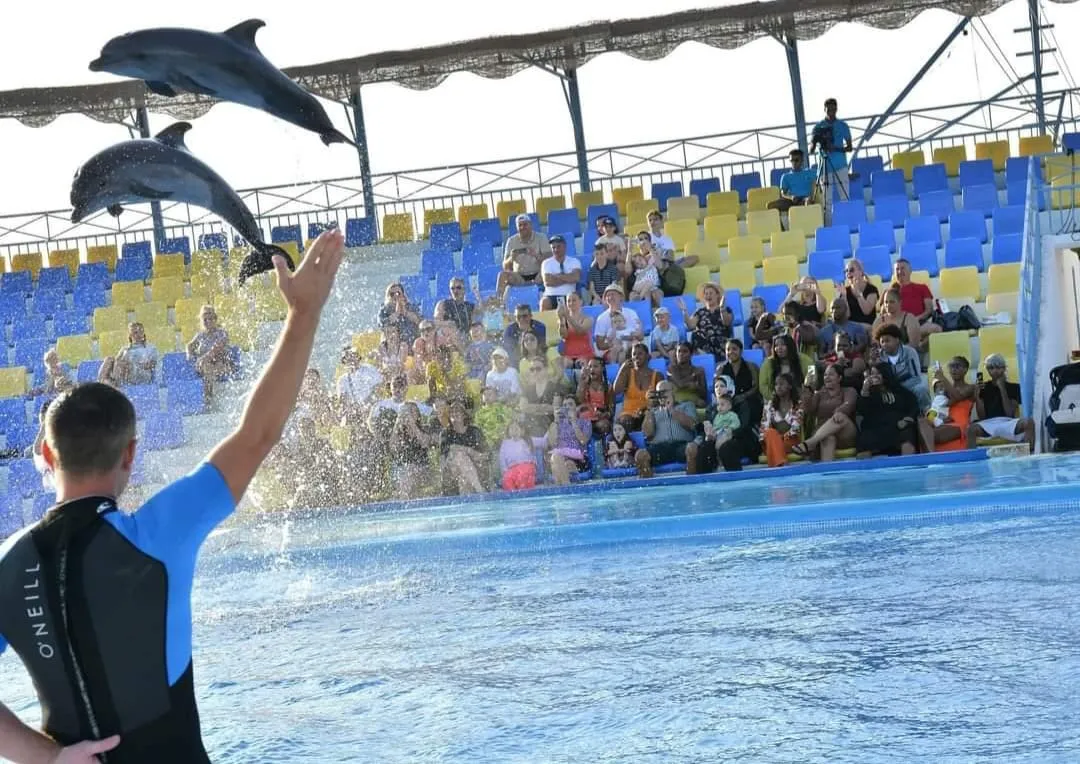 ⏰🐬 Dolphin Show – Tour Duration -dolphin-show-tour-duration/IMG-20260704-WA0069.jpg