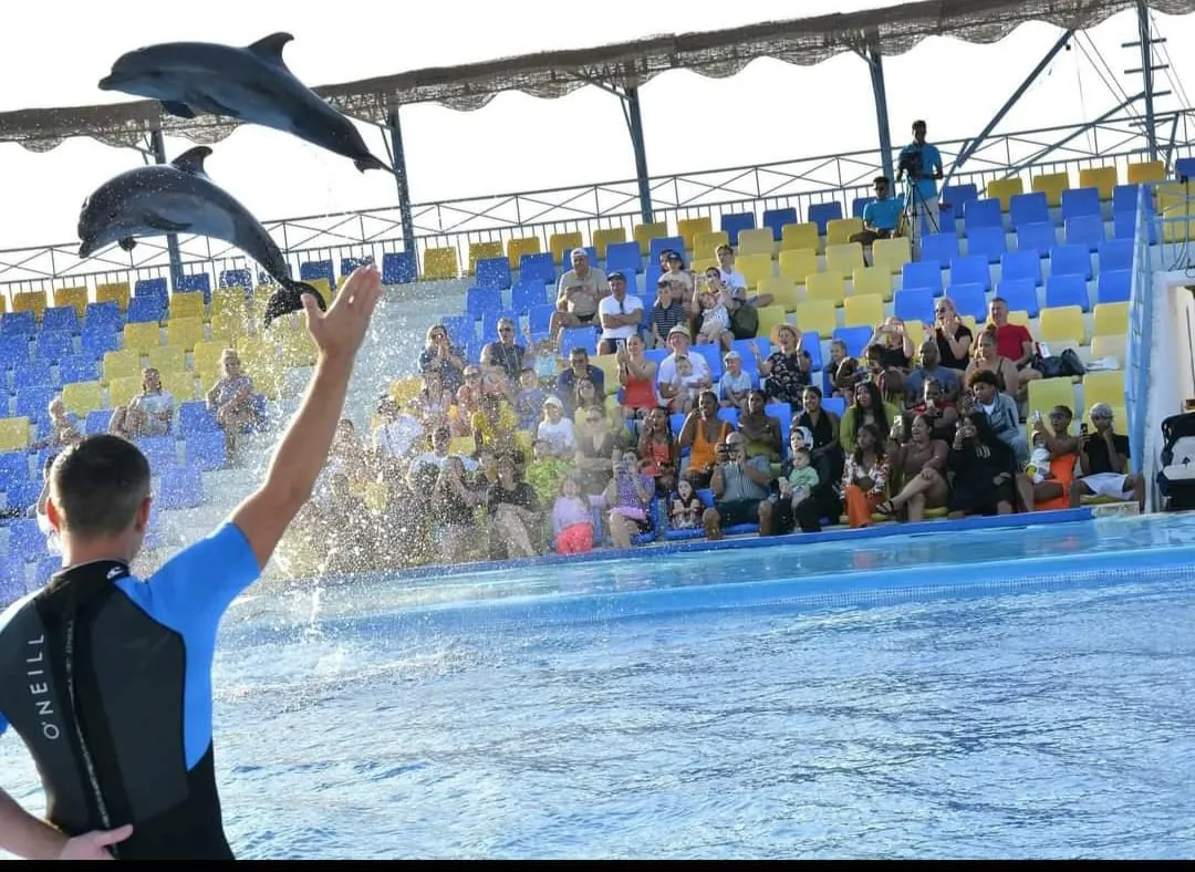 ⏰🐬 Dolphin Show – Tour Duration -dolphin-show-tour-duration/IMG-20260704-WA0071.jpg