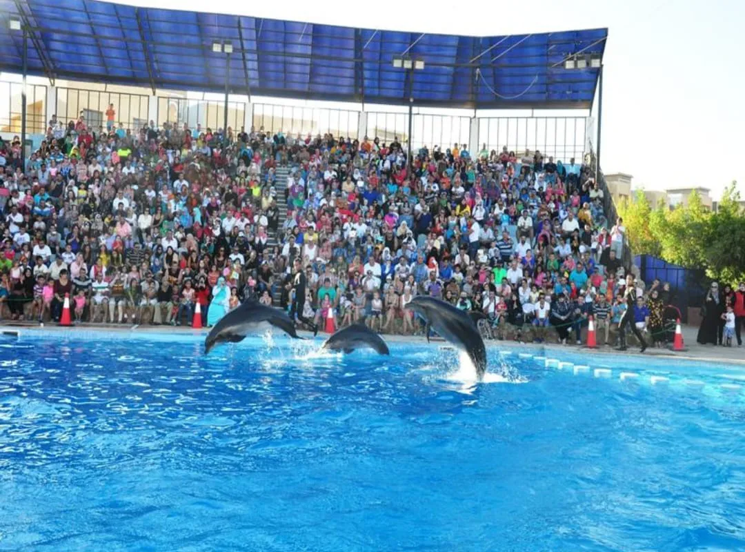 ⏰🐬 Dolphin Show – Tour Duration -dolphin-show-tour-duration/IMG-20260704-WA0075.jpg