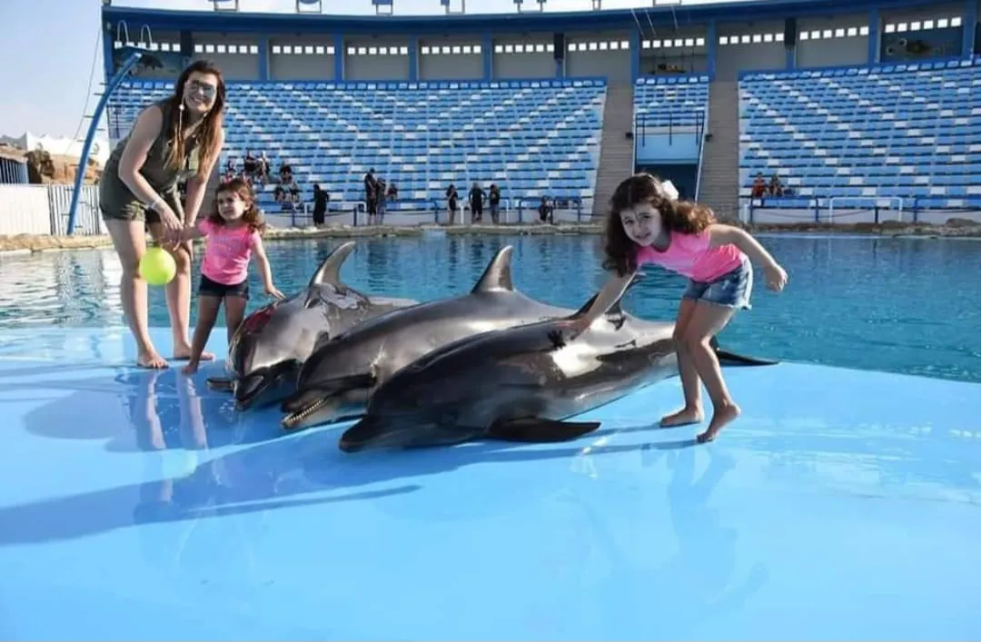 ⏰🐬 Dolphin Show – Tour Duration -dolphin-show-tour-duration/IMG-20260704-WA0082.jpg