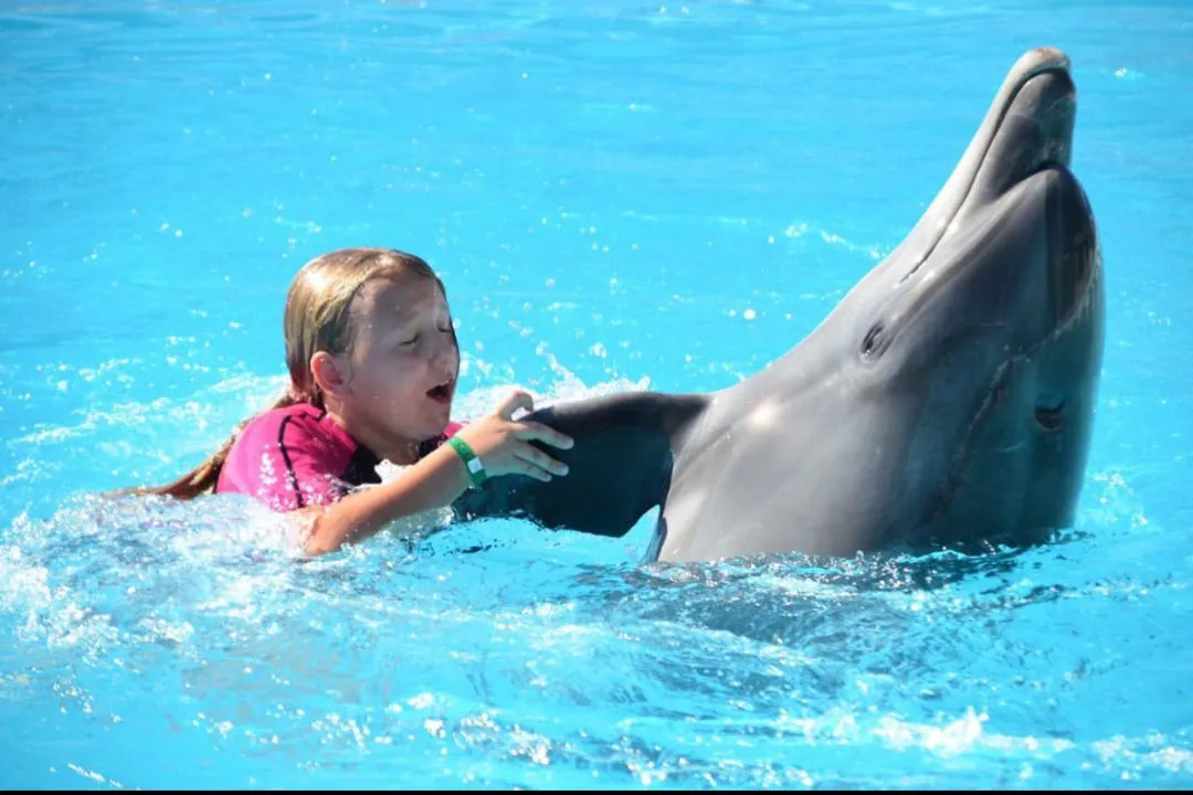 🐬🏊 Dolphin Swimming Experience -dolphin-swimming-experience/IMG-20260704-WA0085.jpg