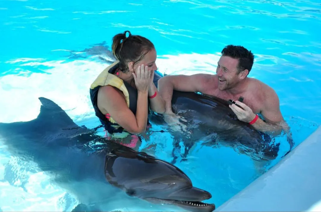 🐬🏊 Dolphin Swimming Experience -dolphin-swimming-experience/IMG-20260704-WA0088.jpg