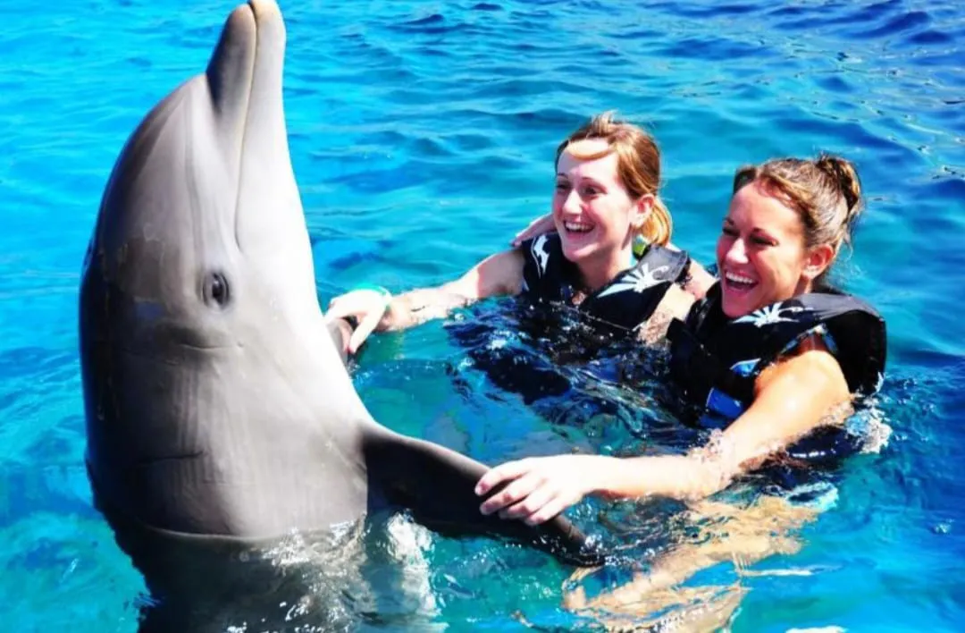 🐬🏊 Dolphin Swimming Experience -dolphin-swimming-experience/IMG-20260704-WA0092.jpg