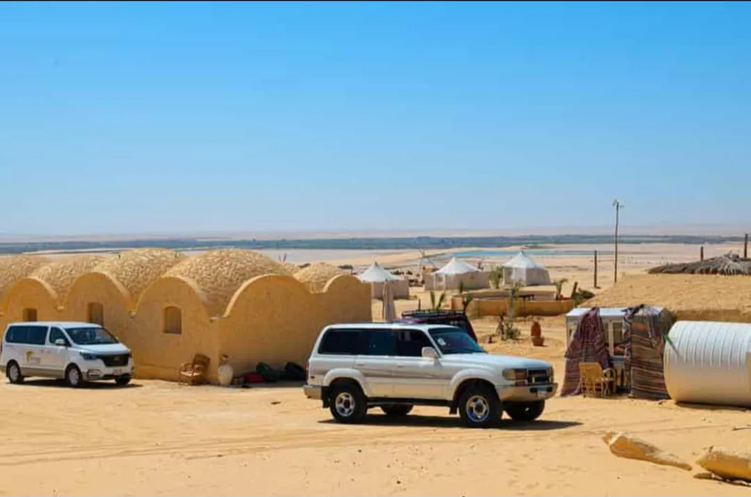🏕️🌌 Fayoum Desert Camping Adventure | Overnight Experience -fayoum-desert-camping-adventure-overnight-experience/IMG-20260705-WA0130.jpg
