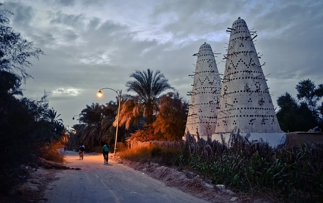 🌿🏜️ Fayoum Safari Adventure | Full-Day Desert Escape -fayoum-safari-adventure-full-day-desert-escape/IMG-20260705-WA0035.jpg