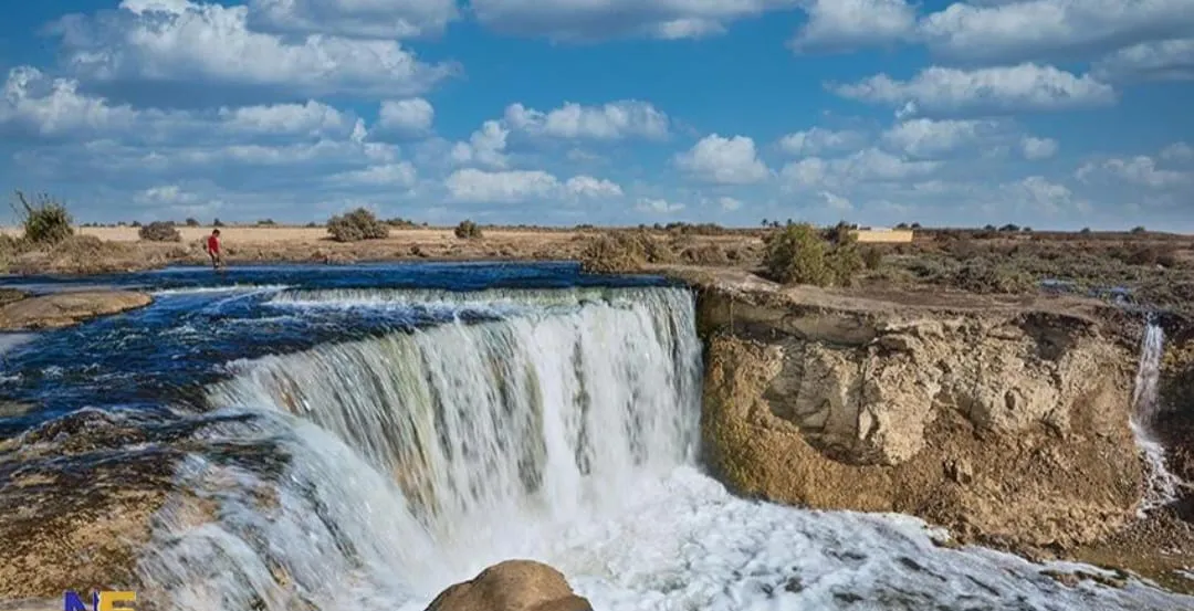 🌿🏜️ Fayoum Safari Adventure | Full-Day Desert Escape -fayoum-safari-adventure-full-day-desert-escape/IMG-20260705-WA0042.jpg