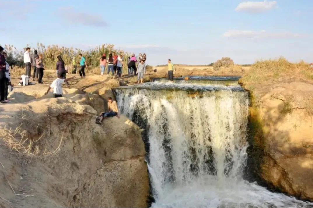 🌿🏜️ Fayoum Safari Adventure | Full-Day Desert Escape -fayoum-safari-adventure-full-day-desert-escape/IMG-20260705-WA0043.jpg