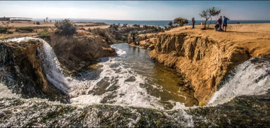 🌿🏜️ Fayoum Safari Adventure | Full-Day Desert Escape -fayoum-safari-adventure-full-day-desert-escape/IMG-20260705-WA0047.jpg