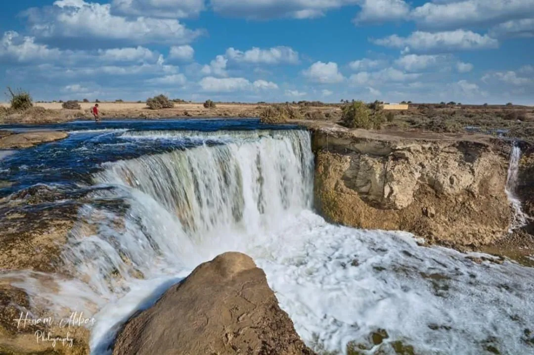 🌿🏜️ Fayoum Safari Adventure | Full-Day Desert Escape -fayoum-safari-adventure-full-day-desert-escape/IMG-20260705-WA0048.jpg