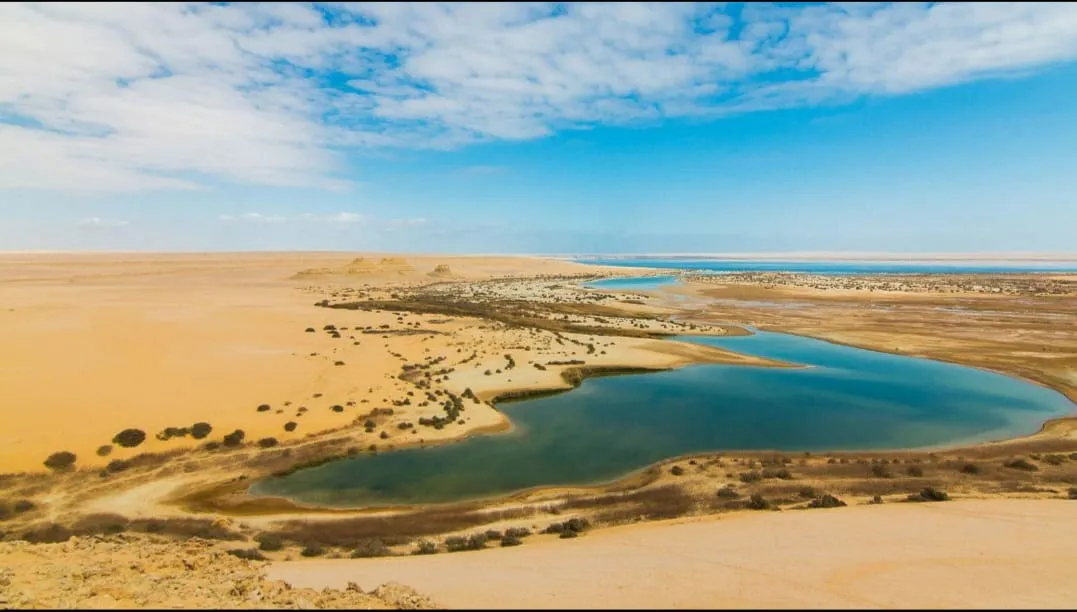 🌿🏜️ Fayoum Safari Adventure | Full-Day Desert Escape -fayoum-safari-adventure-full-day-desert-escape/IMG-20260705-WA0049.jpg