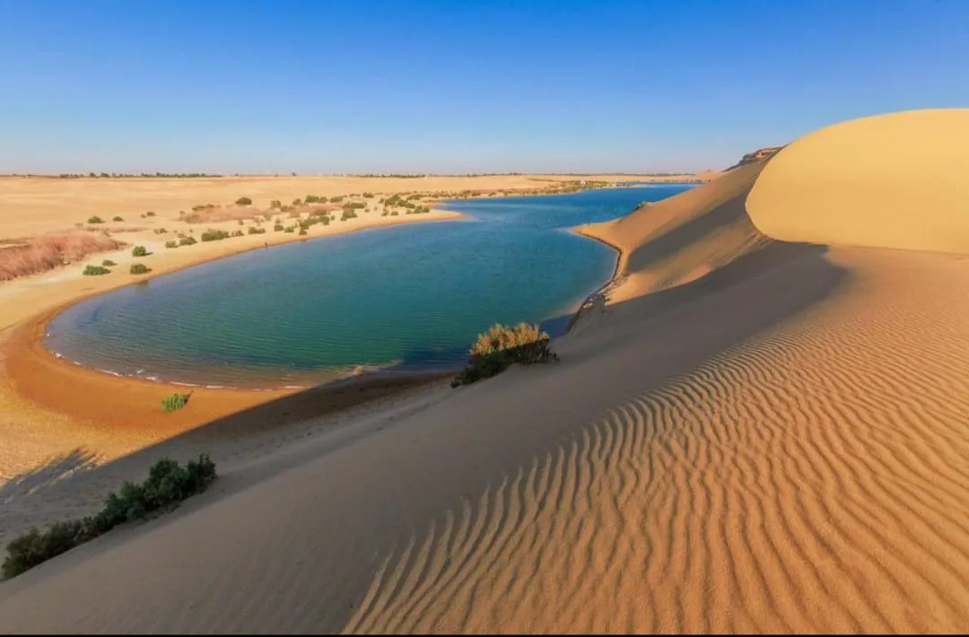 🌿🏜️ Fayoum Safari Adventure | Full-Day Desert Escape -fayoum-safari-adventure-full-day-desert-escape/IMG-20260705-WA0050.jpg