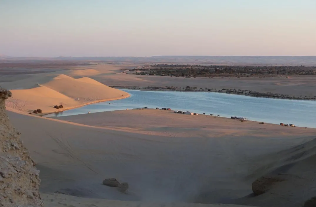 🌿🏜️ Fayoum Safari Adventure | Full-Day Desert Escape -fayoum-safari-adventure-full-day-desert-escape/IMG-20260705-WA0051.jpg