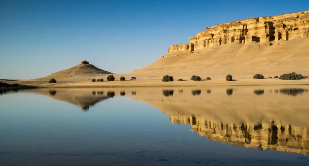 🌿🏜️ Fayoum Safari Adventure | Full-Day Desert Escape -fayoum-safari-adventure-full-day-desert-escape/IMG-20260705-WA0052.jpg