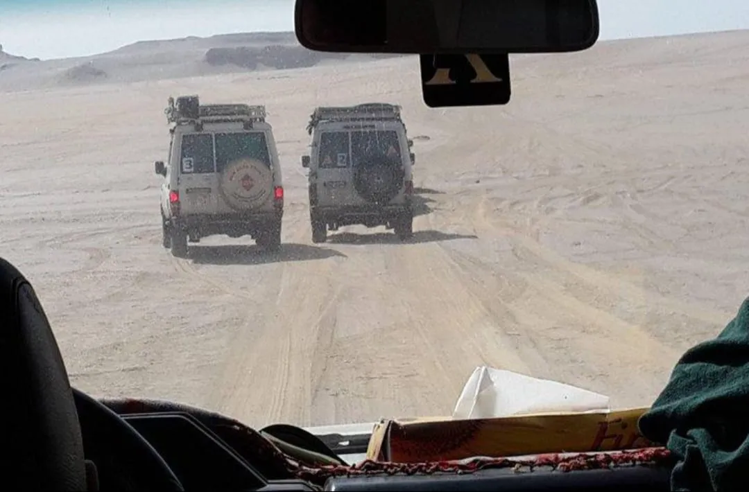 🌿🏜️ Fayoum Safari Adventure | Full-Day Desert Escape -fayoum-safari-adventure-full-day-desert-escape/IMG-20260705-WA0054.jpg