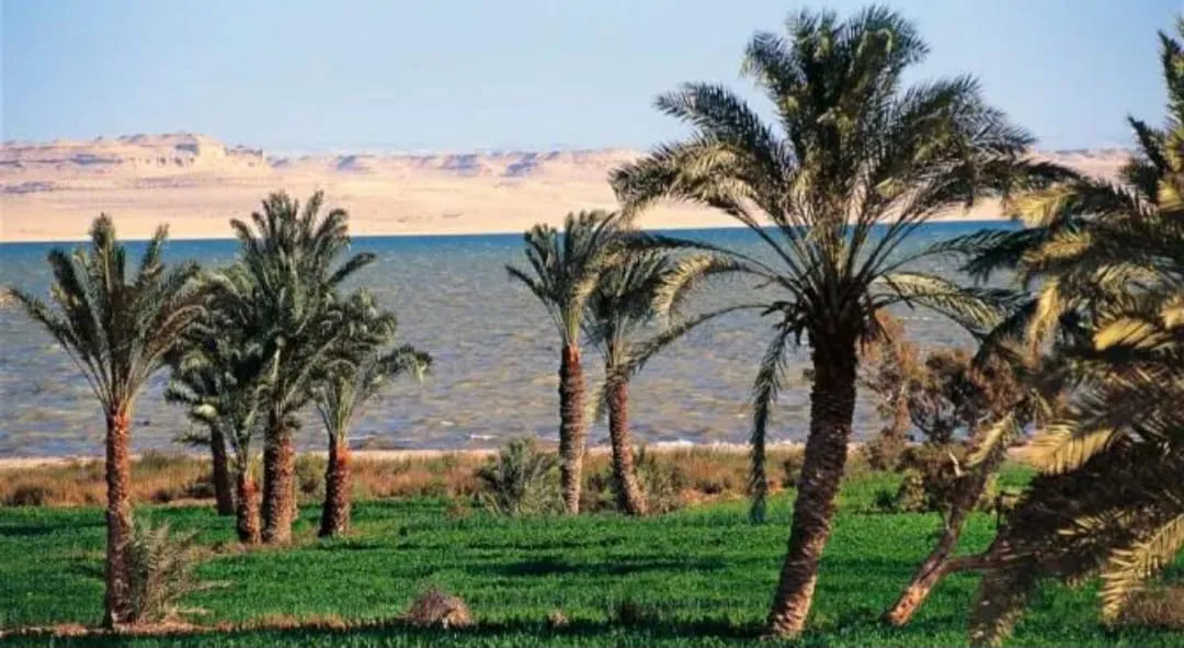 🌿🏜️ Fayoum Safari Adventure | Full-Day Desert Escape -fayoum-safari-adventure-full-day-desert-escape/IMG-20260705-WA0055.jpg