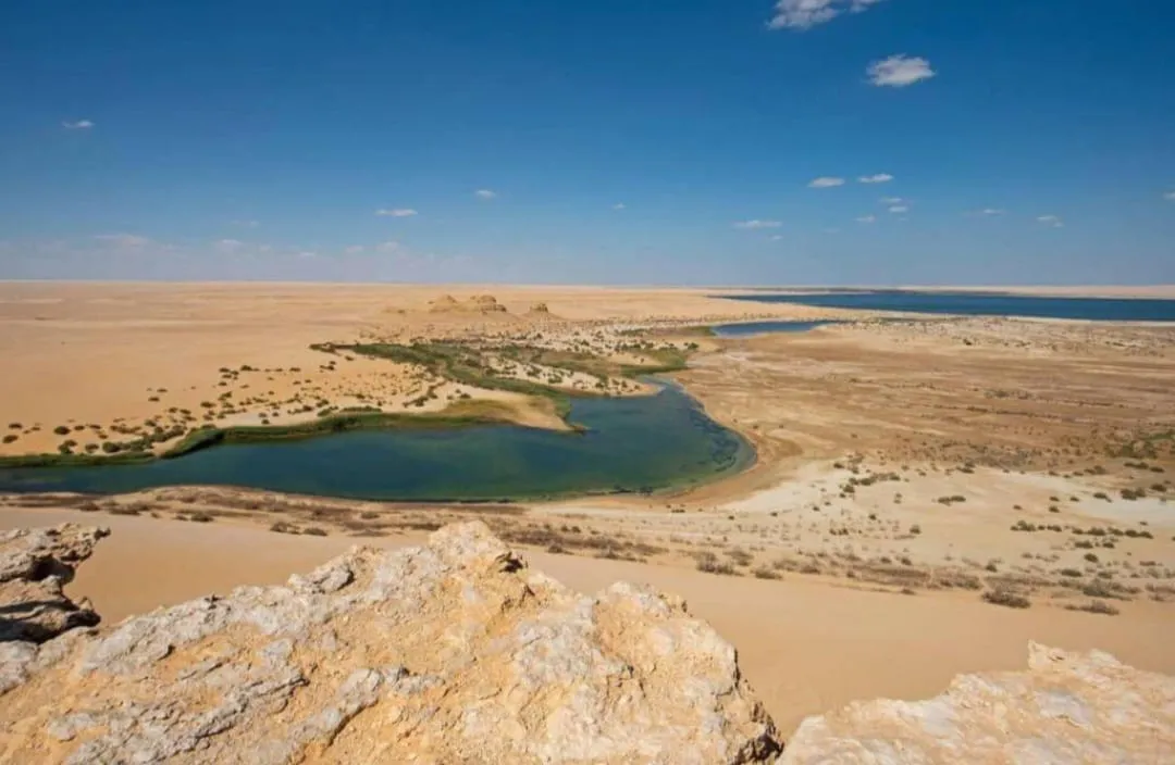 🌿🏜️ Fayoum Safari Adventure | Full-Day Desert Escape -fayoum-safari-adventure-full-day-desert-escape/IMG-20260705-WA0059.jpg