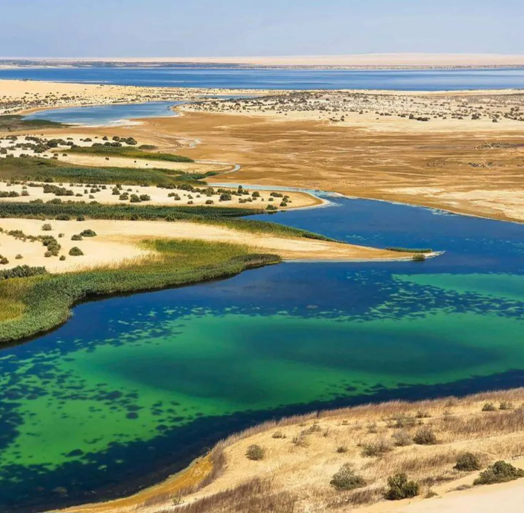 🌿🏜️ Fayoum Safari Adventure | Full-Day Desert Escape -fayoum-safari-adventure-full-day-desert-escape/IMG-20260705-WA0060.jpg