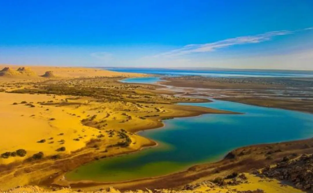 🌿🏜️ Fayoum Safari Adventure | Full-Day Desert Escape -fayoum-safari-adventure-full-day-desert-escape/IMG-20260705-WA0061.jpg