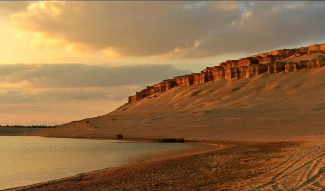 🌿🏜️ Fayoum Safari Adventure | Full-Day Desert Escape -fayoum-safari-adventure-full-day-desert-escape/IMG-20260705-WA0062.jpg