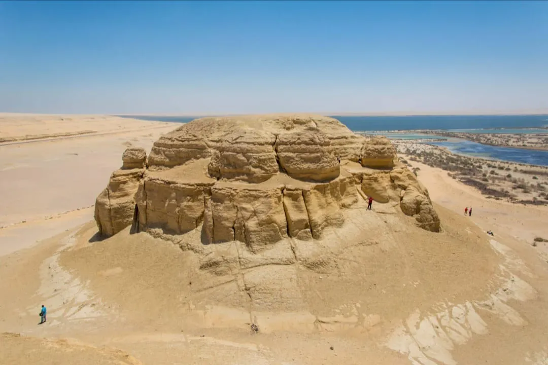 🌿🏜️ Fayoum Safari Adventure | Full-Day Desert Escape -fayoum-safari-adventure-full-day-desert-escape/IMG-20260705-WA0064.jpg