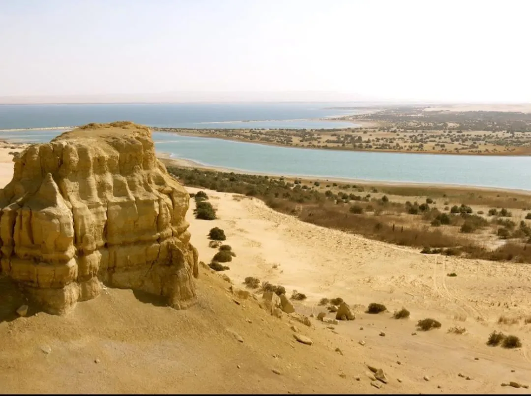 🌿🏜️ Fayoum Safari Adventure | Full-Day Desert Escape -fayoum-safari-adventure-full-day-desert-escape/IMG-20260705-WA0065.jpg