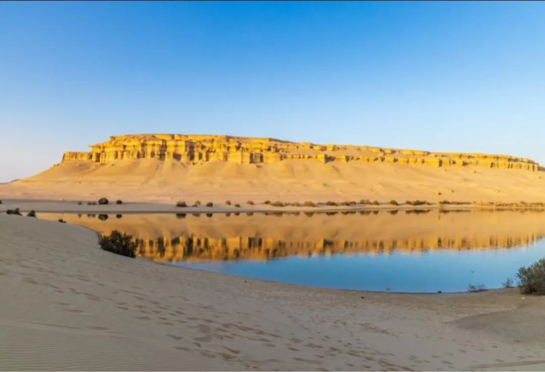 🌿🏜️ Fayoum Safari Adventure | Full-Day Desert Escape -fayoum-safari-adventure-full-day-desert-escape/IMG-20260705-WA0066.jpg