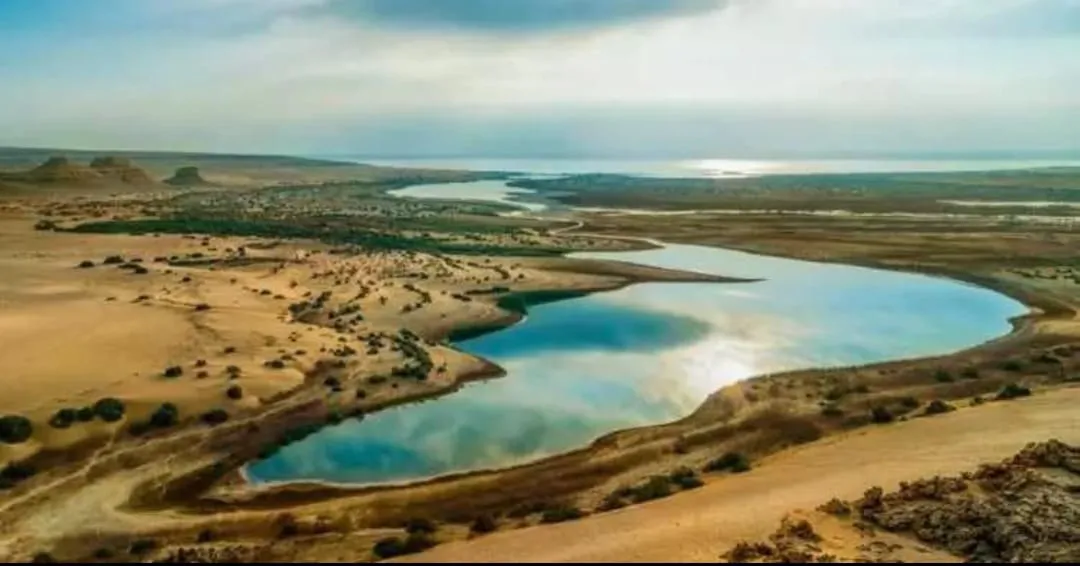 🌿🏜️ Fayoum Safari Adventure | Full-Day Desert Escape -fayoum-safari-adventure-full-day-desert-escape/IMG-20260705-WA0068.jpg
