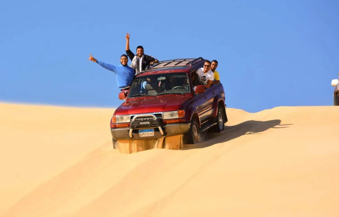 🌿🏜️ Fayoum Safari Adventure | Full-Day Desert Escape -fayoum-safari-adventure-full-day-desert-escape/IMG-20260705-WA0071.jpg
