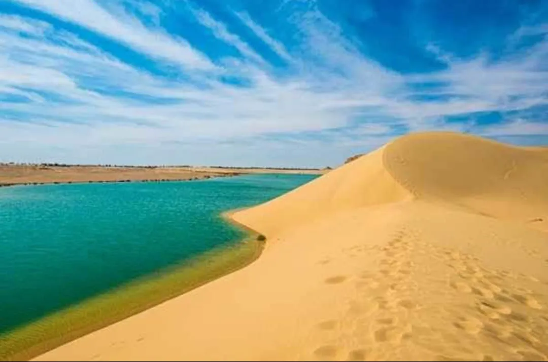 🌿🏜️ Fayoum Safari Adventure | Full-Day Desert Escape -fayoum-safari-adventure-full-day-desert-escape/IMG-20260705-WA0072.jpg