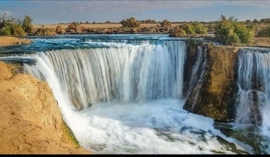 🌿🏜️ Fayoum Safari Adventure | Full-Day Desert Escape -fayoum-safari-adventure-full-day-desert-escape/IMG-20260705-WA0074.jpg
