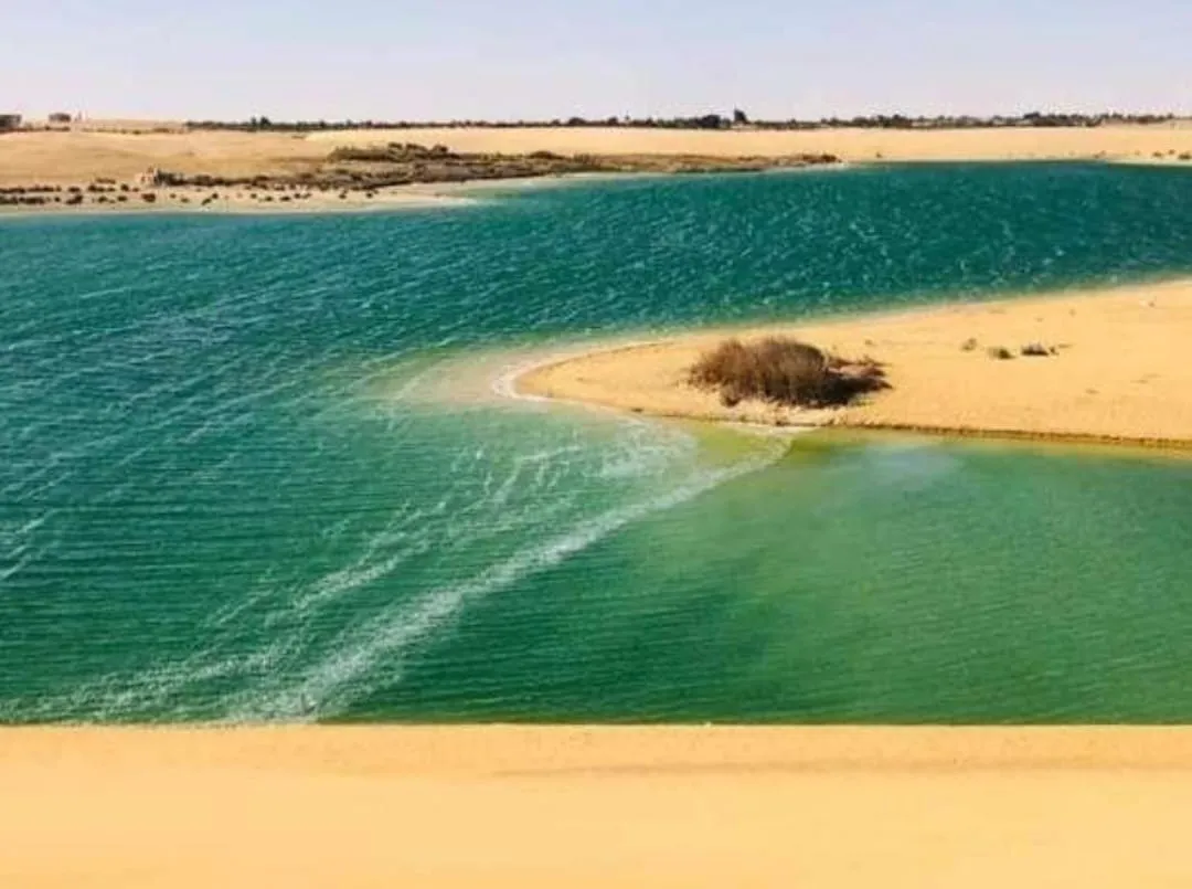 🌄🚙 Gebel El Mudawara & Magic Lake Adventure | Full-Day Tour -gebel-el-mudawara-magic-lake-adventure-full-day-tour/IMG-20260705-WA0143.jpg