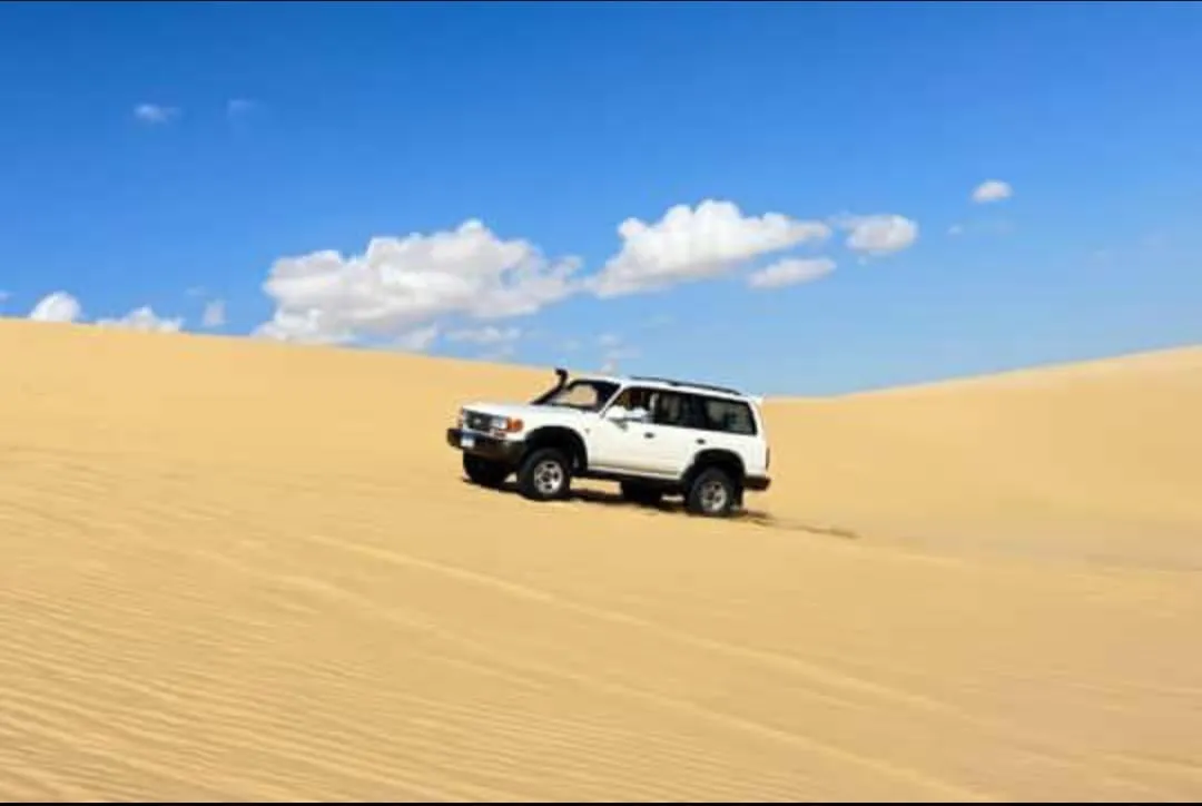 🌄🚙 Gebel El Mudawara & Magic Lake Adventure | Full-Day Tour -gebel-el-mudawara-magic-lake-adventure-full-day-tour/IMG-20260705-WA0152.jpg