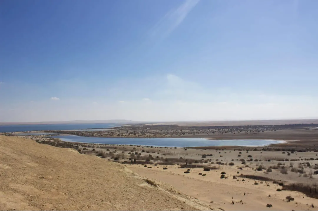 🌄🚙 Gebel El Mudawara & Magic Lake Adventure | Full-Day Tour -gebel-el-mudawara-magic-lake-adventure-full-day-tour/IMG-20260705-WA0154.jpg