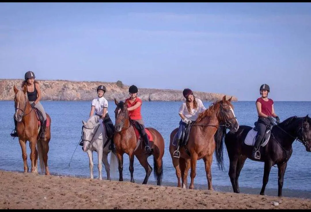 🐎✨ Horse Riding Adventure -horse-riding-adventure/IMG-20260704-WA0096.jpg