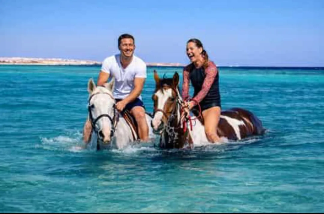 🐎✨ Horse Riding Adventure -horse-riding-adventure/IMG-20260704-WA0097.jpg