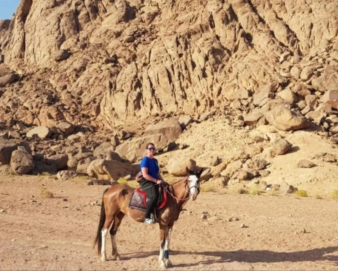 🐎✨ Horse Riding Adventure -horse-riding-adventure/IMG-20260704-WA0098.jpg