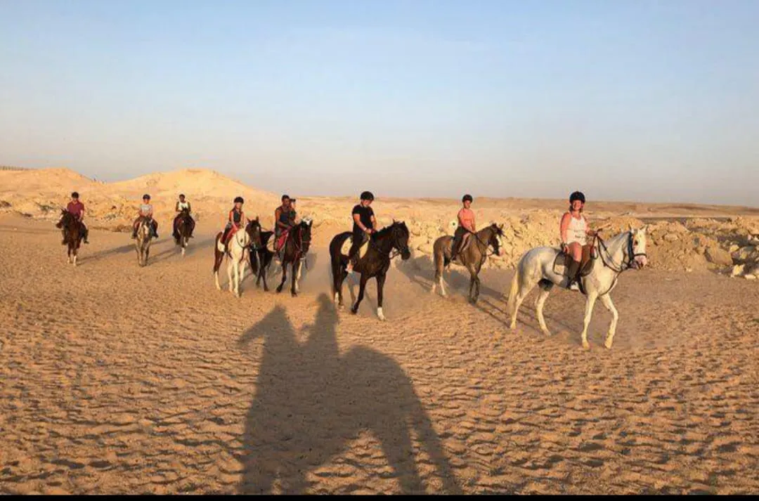 🐎✨ Horse Riding Adventure -horse-riding-adventure/IMG-20260704-WA0099.jpg