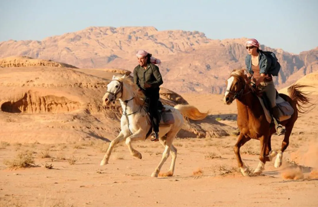 🐎✨ Horse Riding Adventure -horse-riding-adventure/IMG-20260704-WA0100.jpg