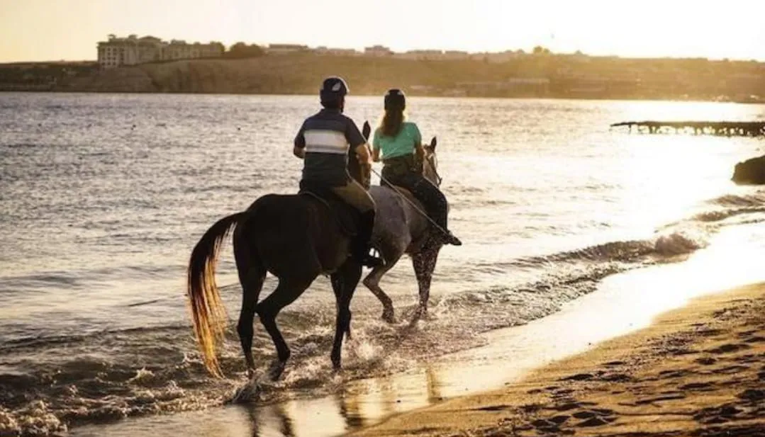🐎✨ Horse Riding Adventure -horse-riding-adventure/IMG-20260704-WA0102.jpg