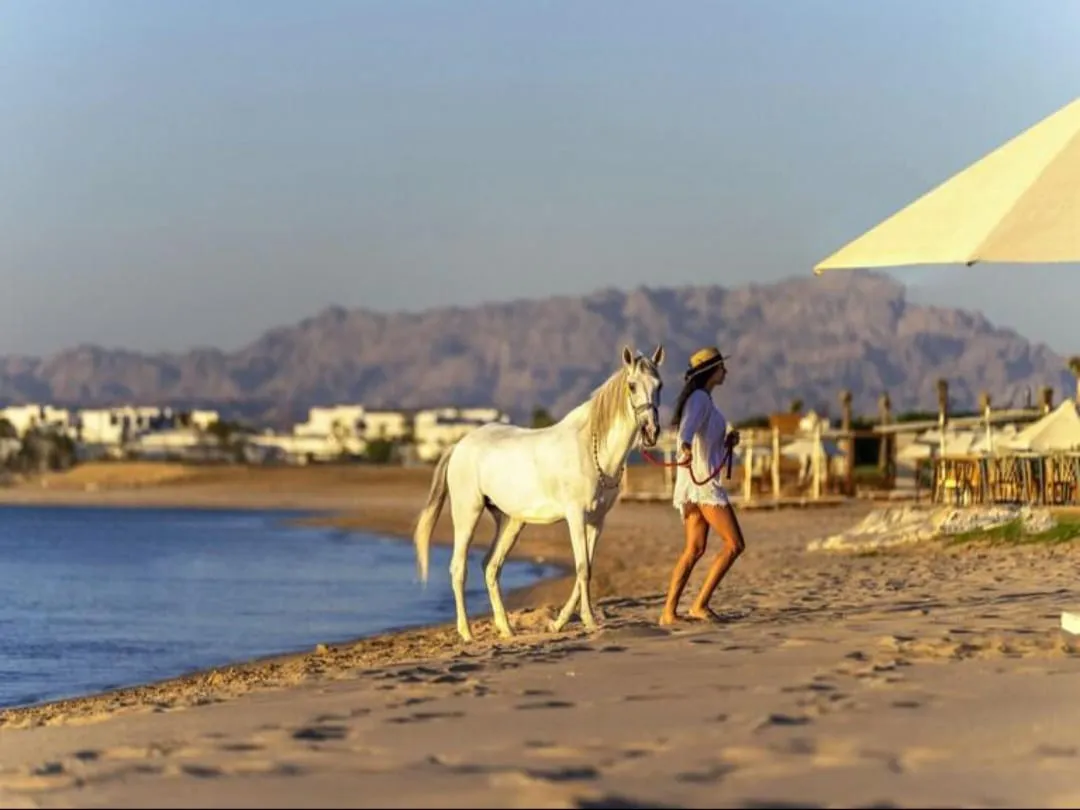 🐎✨ Horse Riding Adventure -horse-riding-adventure/IMG-20260704-WA0103.jpg