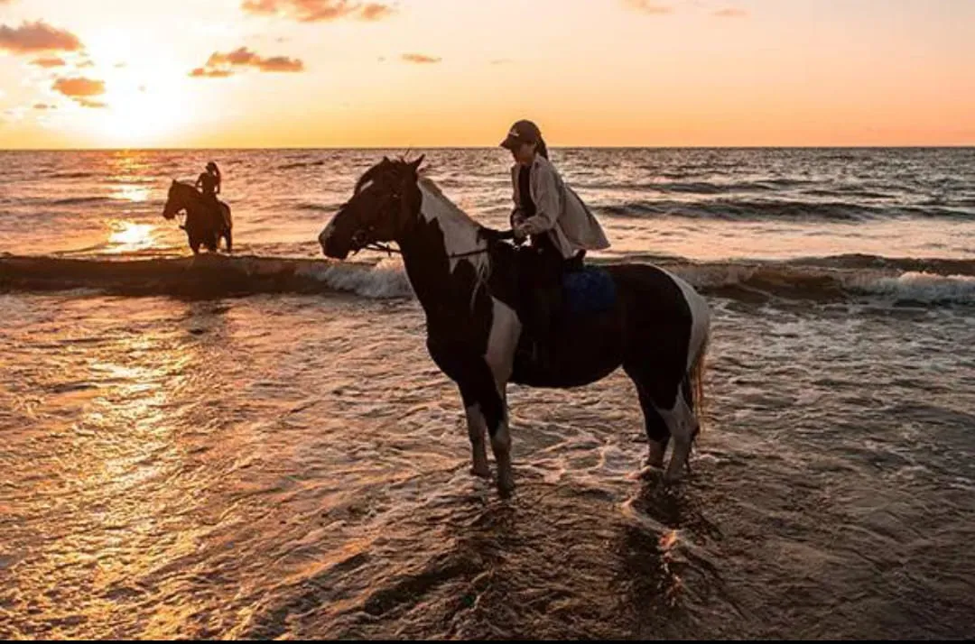 🐎✨ Horse Riding Adventure -horse-riding-adventure/IMG-20260704-WA0104.jpg